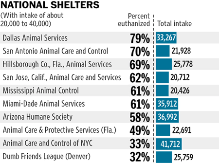 euthanasia rates animal canada kill table shelters cocker spaniel curbs