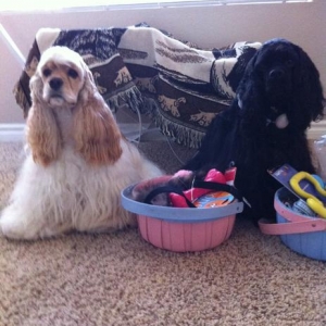 Fenway and Amelia with their baskets.