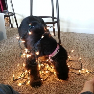 She really liked the lights!