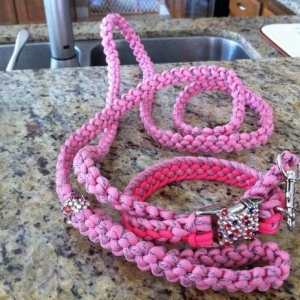 Amelia's new collar and leash.  Ordered it from Etsy .