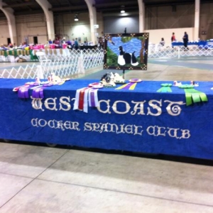 This is the only picture I took at the show.  This was out trophy table after some were given out.