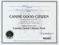 Canine Good Citizen test October 21, 2009
