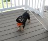 IMG_0767.jpg