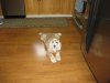 U S A ct 231009 007.jpg