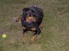 Winnie_11-26-05_009.jpg