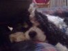 2011-05-08 23.48.18.jpg