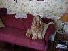DSC00010.jpg