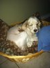 2012.10.28 Bella.jpg