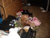 DSCN0540.jpg