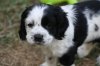 IMG_8009_edited-1.jpg