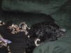 DSCN0548.jpg
