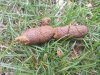 20130413_103704.jpg