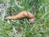 20130413_122558.jpg