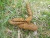 20130413_143349.jpg