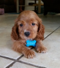 upload_2015-9-21_13-14-57.png