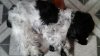 20160207_110810.jpg