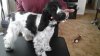 20160213_085051.jpg