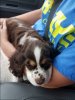 20170527_083515.jpg