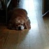 20190805_130301.jpg