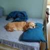 20180730_092507_Burst01.jpg