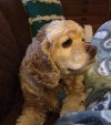 IMG_0063.jpeg