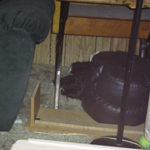 Media 'charlie hiding' in album 'CharlieRose'