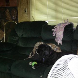 Media 'charlie w ball' in album 'CharlieRose'