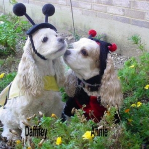 Daffney and Annie by little bugs