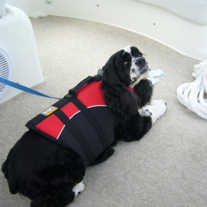 does this lifevest make me look fat