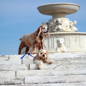 5/4/2009
Location: Belle Isle
Gabby and Hoshi in front of fountain