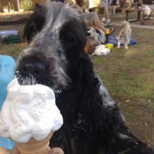 Media 'I love my ice cream, the bigger the better' in album 'Fleur Winn'