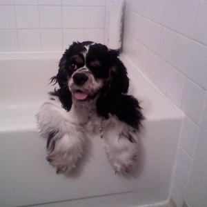Geeze, if only she were still this enthusiatic about bath time...