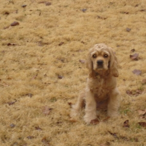 Sami & Annie Jan 20, 2010 001