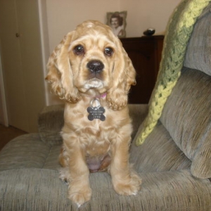 Media '12 24 09 005' in album 'Sami & Annie'