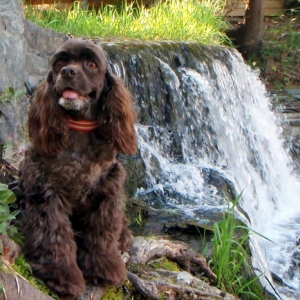 Media 'Hanging out by the water feature' in album 'Out and about in 2010'