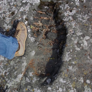 Giant Footprint, this is a wave cut imprint