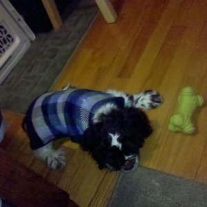 One of my favorite pictures of him in his sweater
