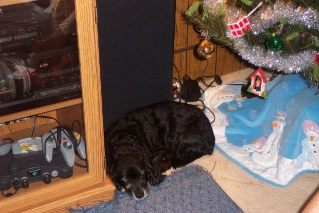 IsaacChristmasDay4.jpg